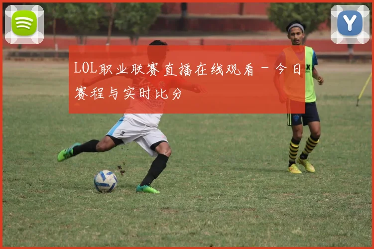 LOL职业联赛直播在线观看 - 今日赛程与实时比分